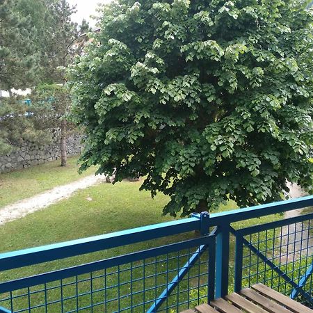 Duplex Lumineux - 40M2 - 2 Chambres - Balcon Terrasse - Parking - Entierement Renove En Mai 2024 Cauterets Zewnętrze zdjęcie